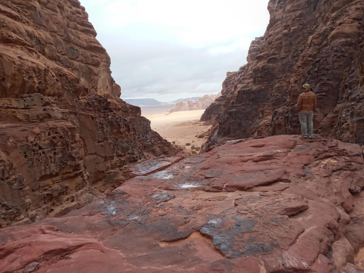 Rum Moon Luxury Camp Wadi Rum Exterior foto